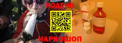 мдпв Камышлов
