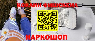 мдпв Камышлов