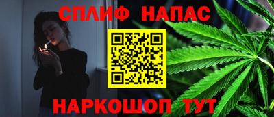 мдпв Камышлов